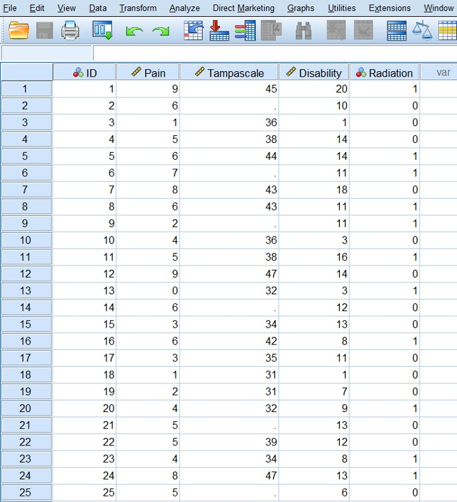 Data View window in SPSS