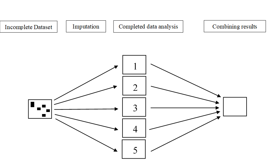 Graphical presentation of the MI procedure.