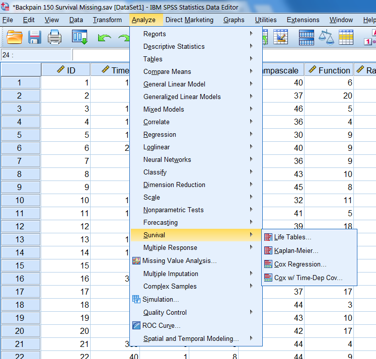 The survival options in SPSS.