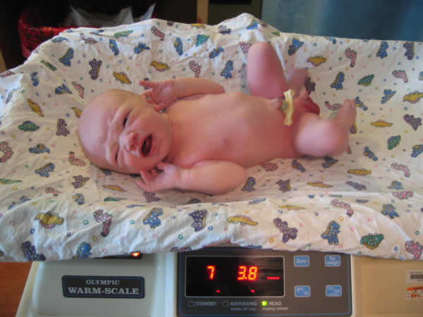 A newborn being weighed.^[[Image](https://www.flickr.com/photos/clockwerks/5013891/) by [Trei Brundrett](https://www.flickr.com/photos/clockwerks/) is licensed under [CC BY-SA 2.0](https://creativecommons.org/licenses/by-sa/2.0/)]