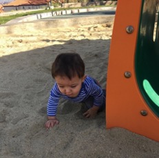 An infant playing in the sand.^[ Image by Andres and Antoinette Ricardo used with permission]