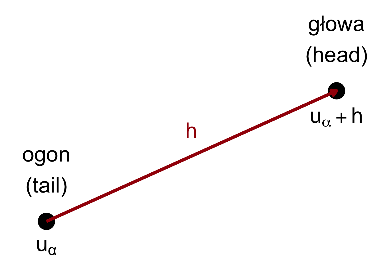 Wizualizacja relacji pomiędzy wartością ogona a głowy odległymi od siebie o wektor h.
