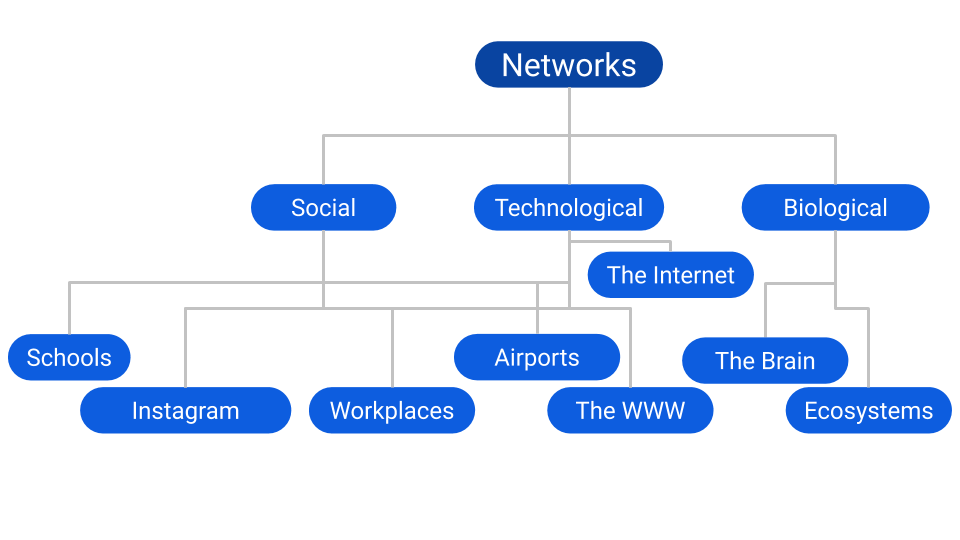 types of network