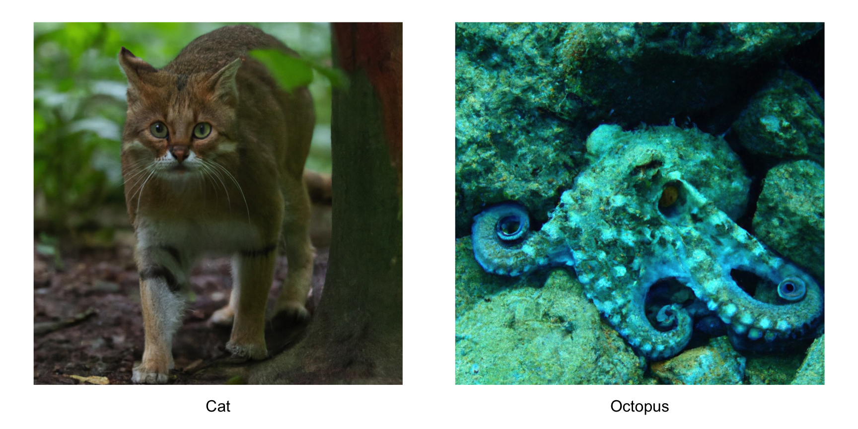 Can you spot the cat? And the octopus? Financial data is more like an octopus.