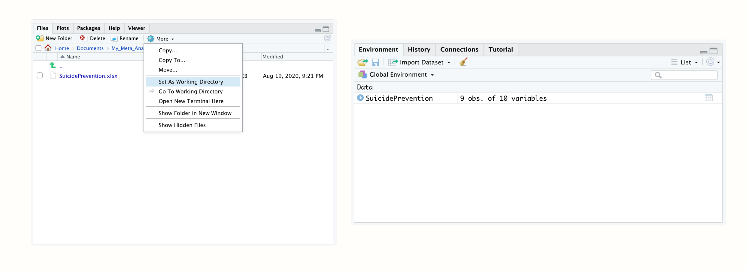 Setting the working directory; data set loaded in the R environment.