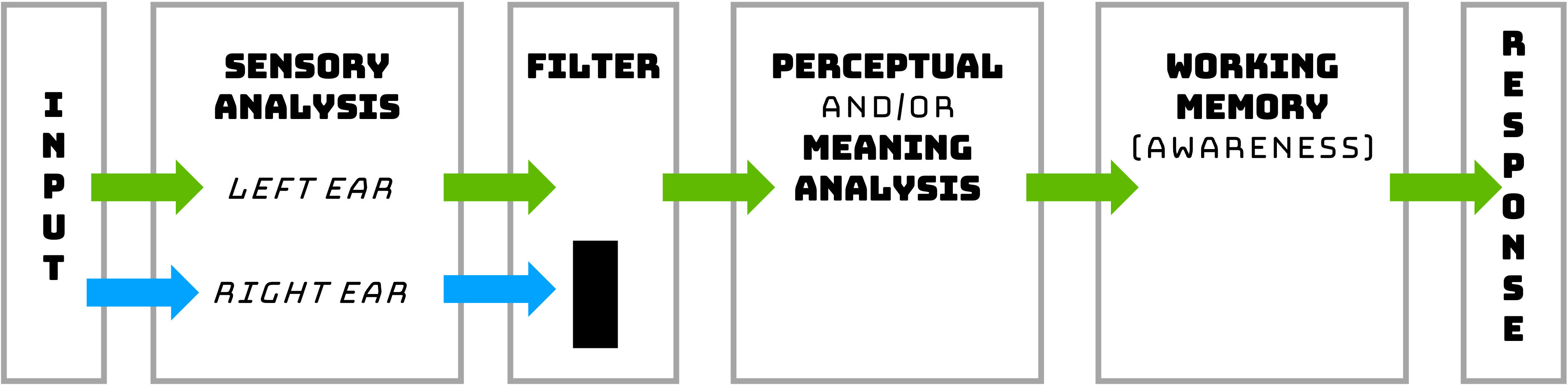 Broadbent Filter Model. This figure shows information coming in both the left and right ears. Some basic sensory information, such as pitch, is processed, but an internal filter only allows the information from one ear to be processed further. Only the information from the left ear is transferred to short-term memory (STM) and conscious awareness, and then further processed for meaning. Under this model, ignored information never makes it beyond a basic physical analysis.