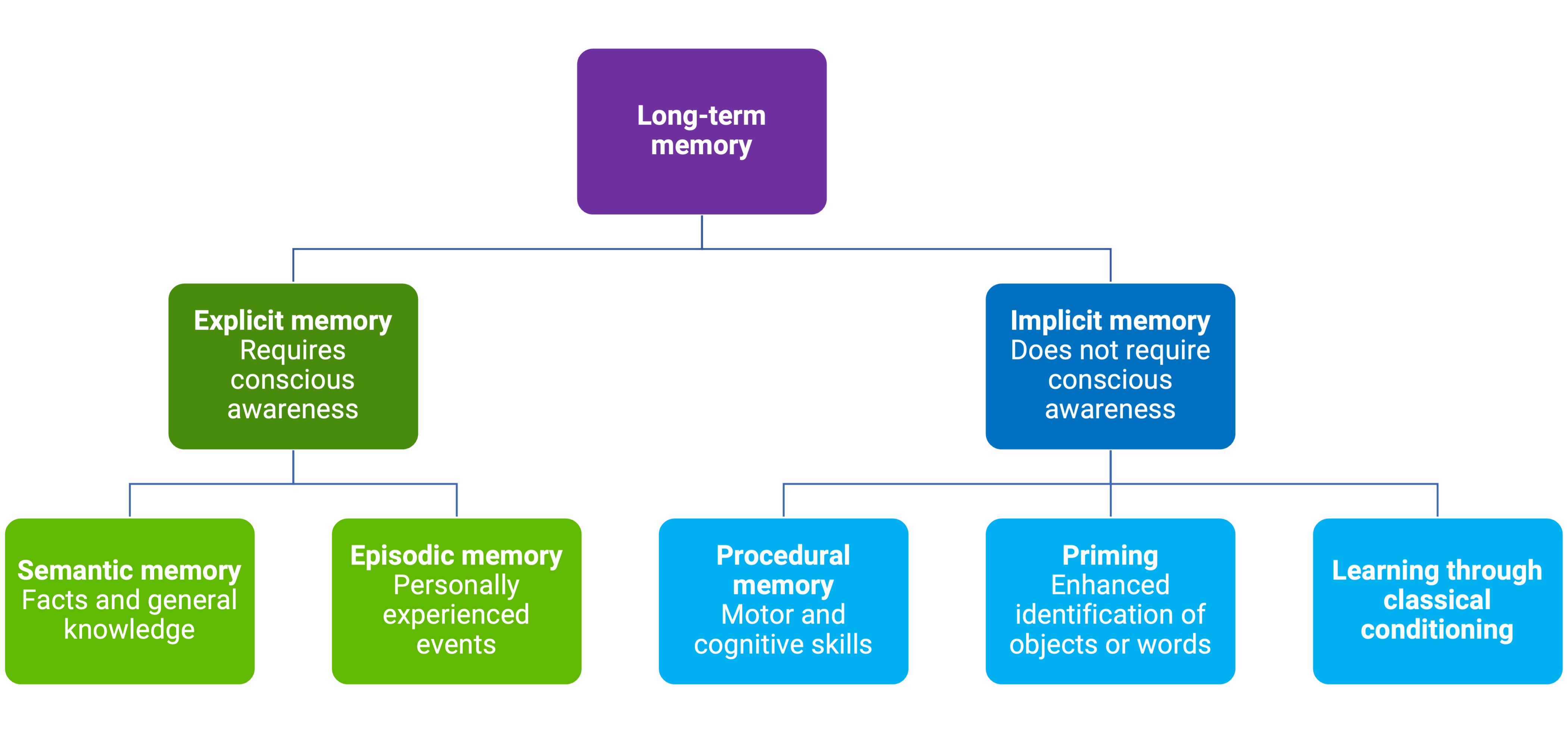 Chapter 5 Long term Memory Cognitive Foundations
