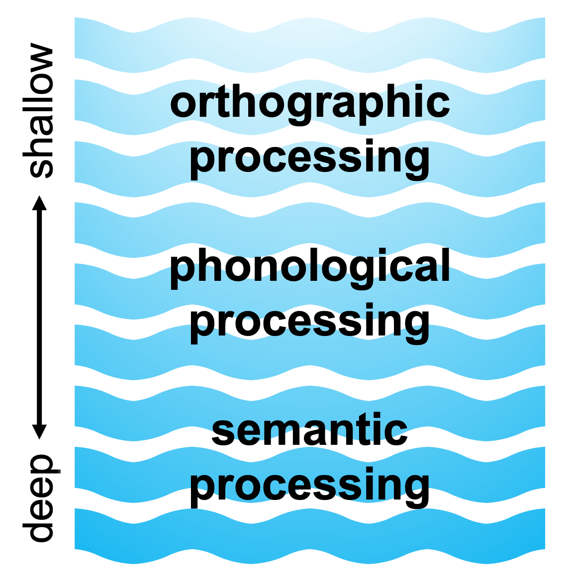 Levels of processing based on evidence from Craik and Tulving.