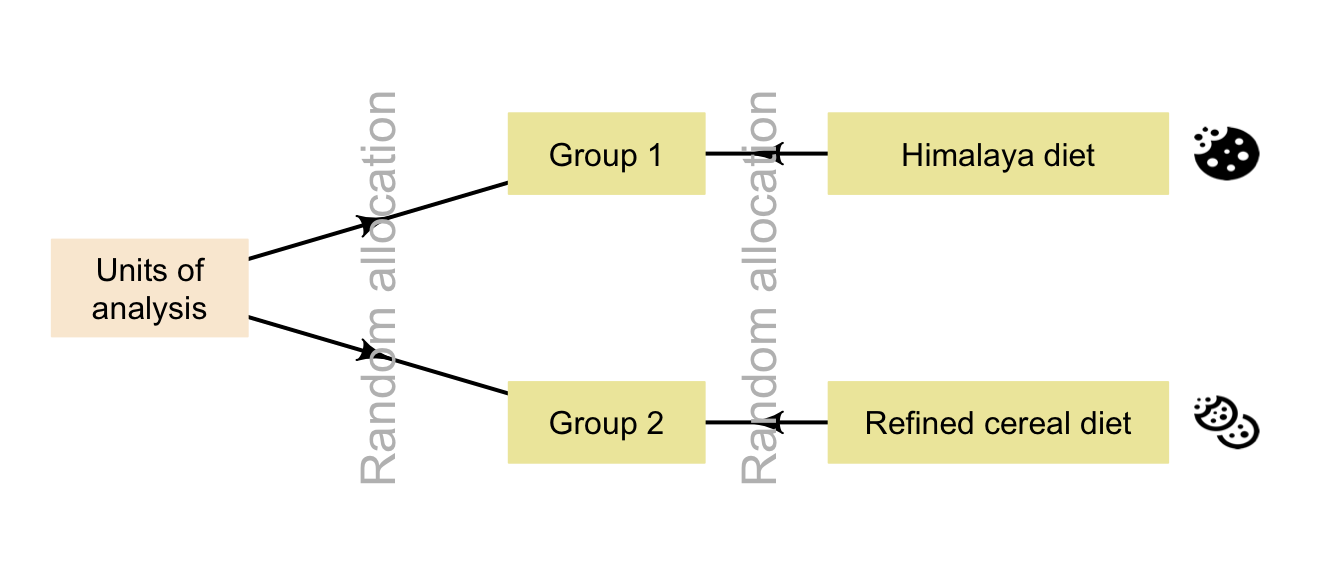 random allocation research