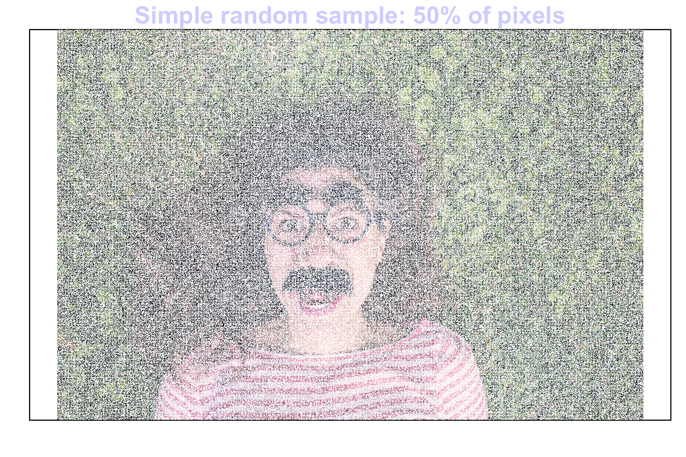 Random samples from an image: 5 percent of pixels (top left); 10 percentof pixels (top right); 25 percent of pixels (bottom left); 50 percent of pixels (bottom right)
