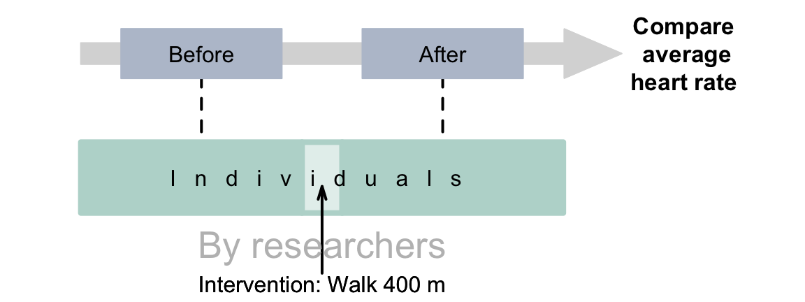 Experimental studies with a repeated-measures RQ. The dashed lines indicate steps not under the control of the researchers.