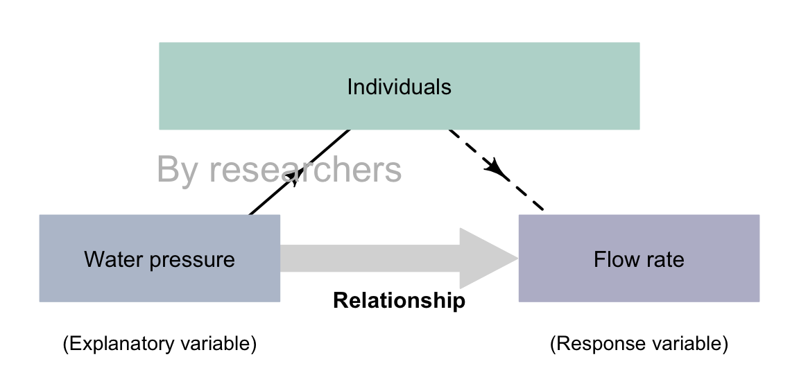 Experimental studies with a correlational RQ. The dashed lines indicate steps not under the control of the researchers.