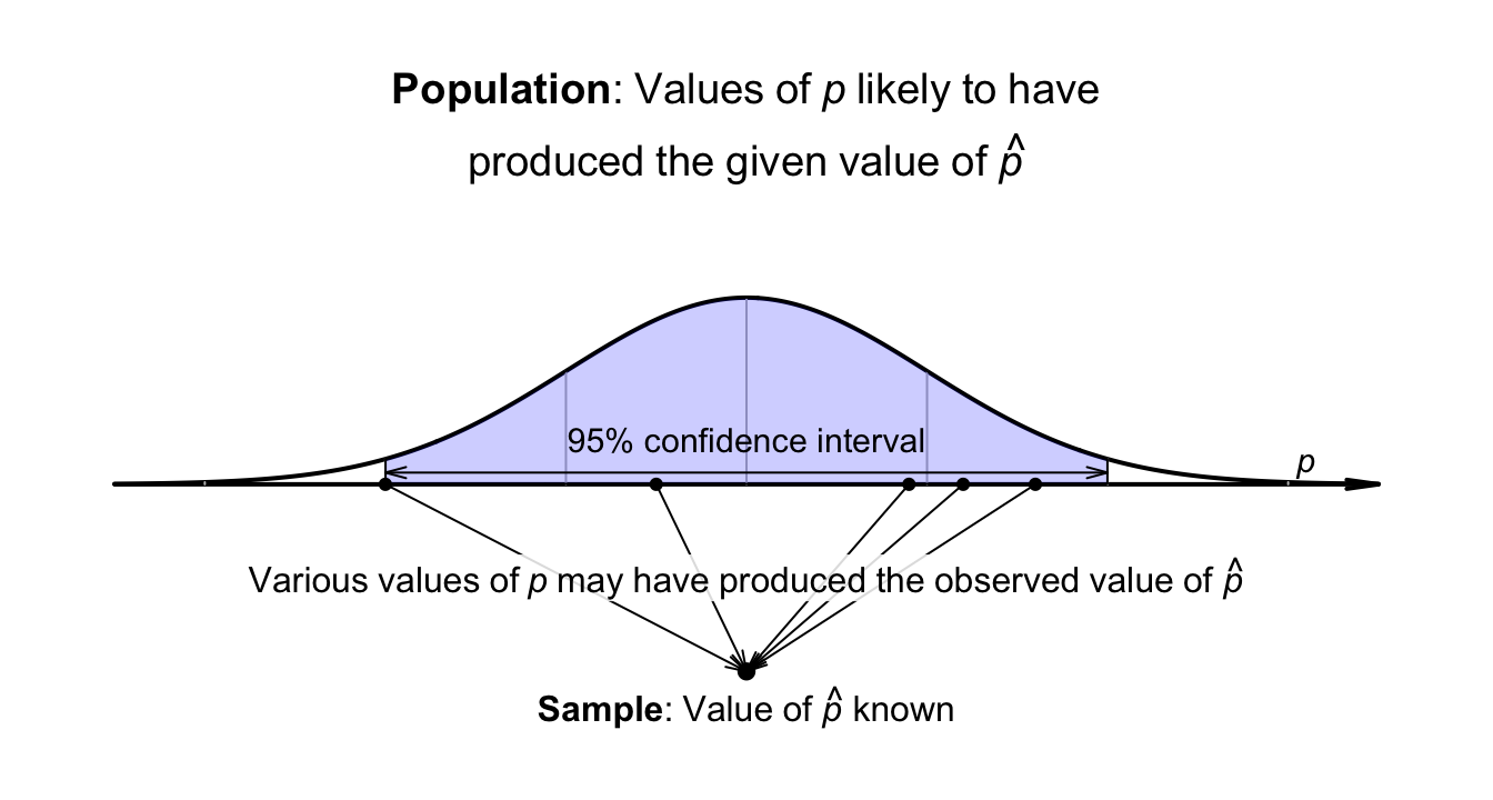 Many values of $p$ may have produced the observed value of $\hat{p}$