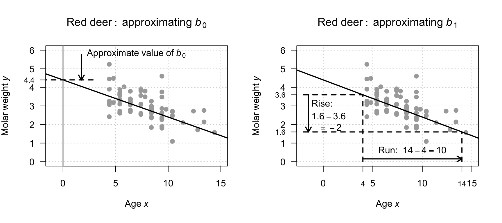 Obtaining rough guesses for the regression equation for the red-deer data. Left: Approximating $b_0$. Right: approximating $b_1$ using rise-over-run