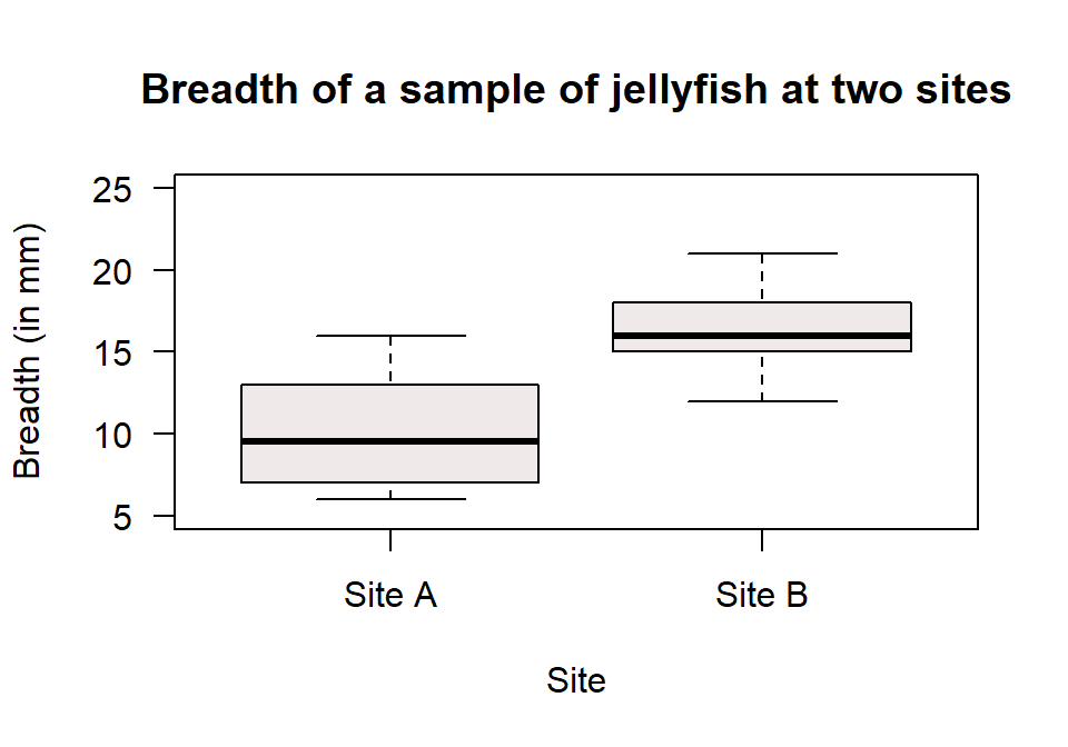 A boxplot of the breadth of jellyfish at two sites