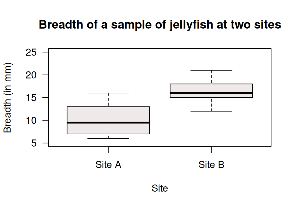 A boxplot of the breadth of jellyfish at two sites