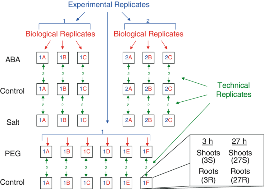 experimental, biological, technical replicates ( 11)