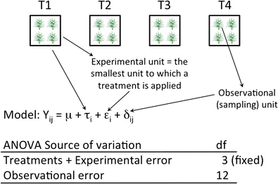 model assumption and experimental unit 1 ( 12 fig.1)