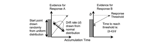 The linear ballistic accumulator model