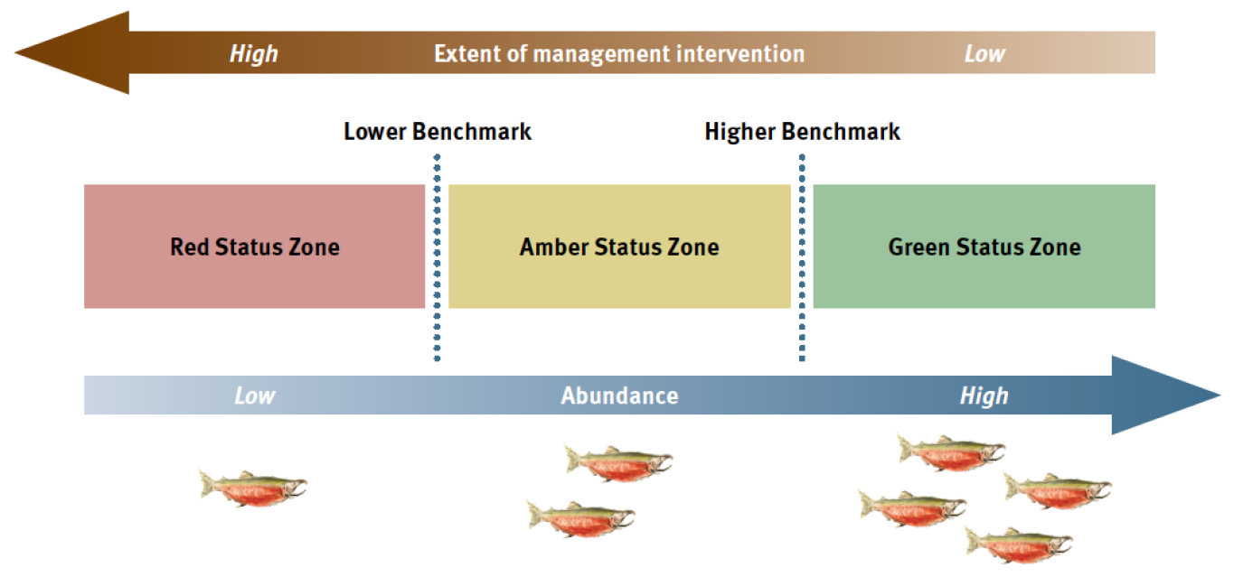 Wild Salmon Policy assessment framework.