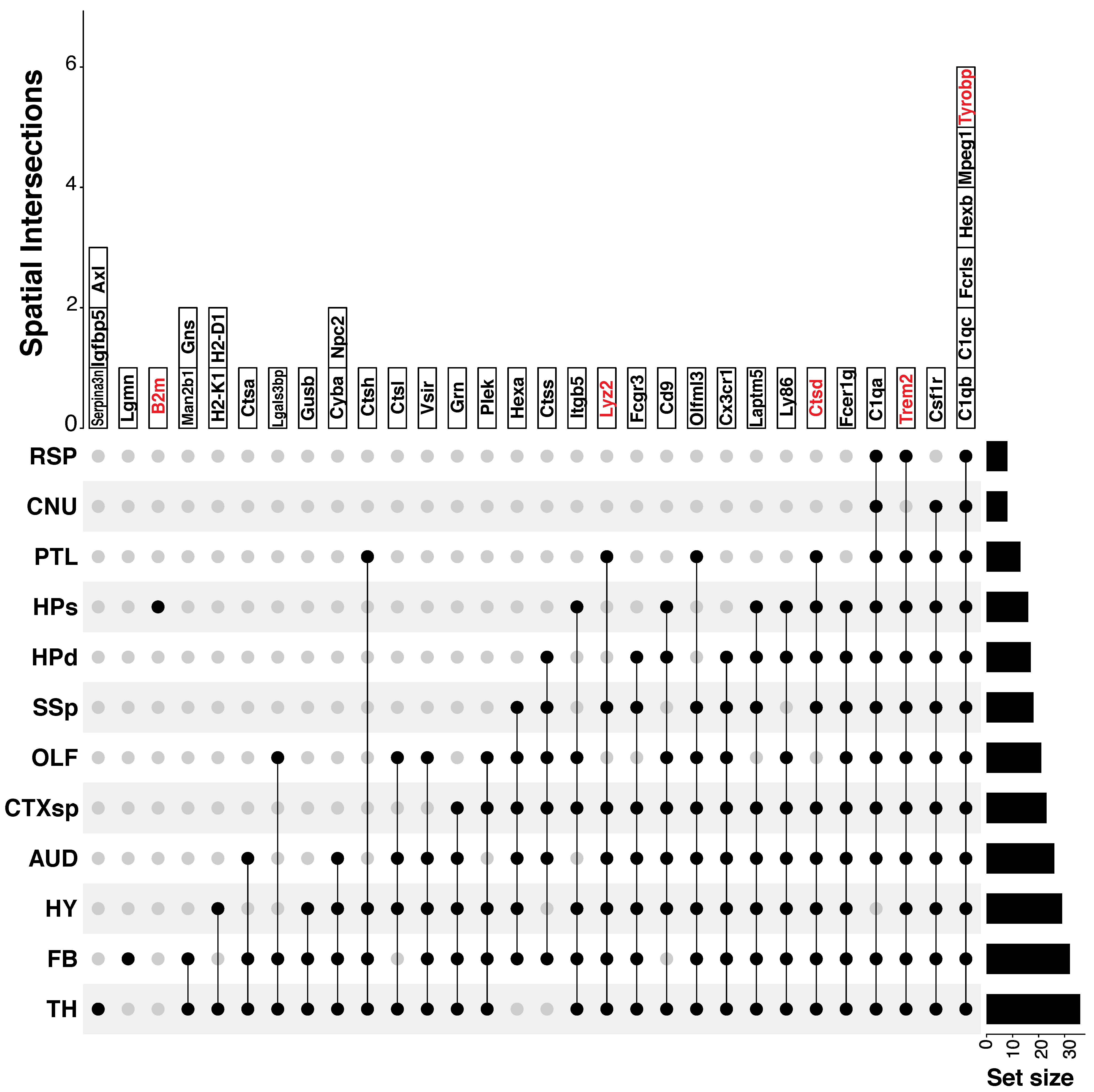The upset plot shows hub genes for each tissue domain and different spatial intersections. The red colored hub genes are also detected as top hub genes in @CHEN2020976.