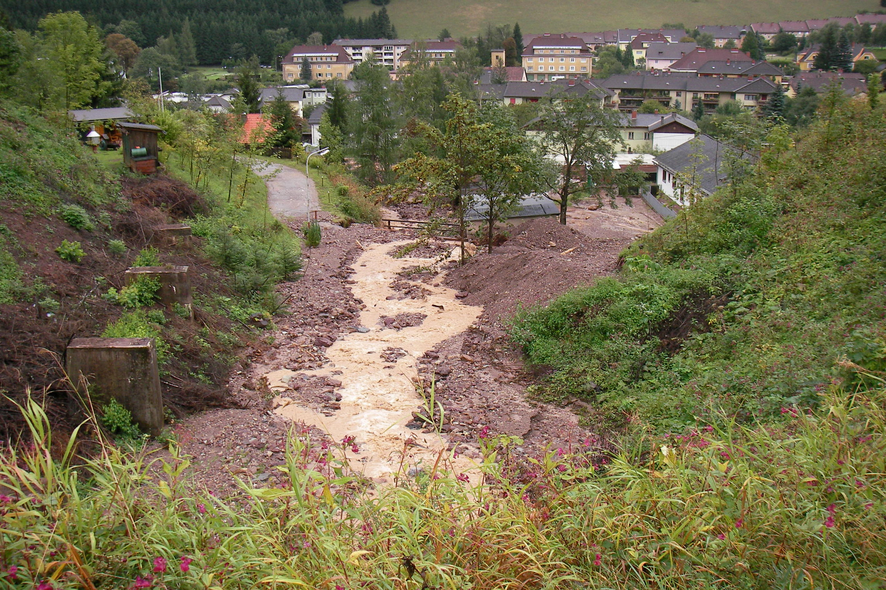 Debris-flood event, 2007 Tullbach (AUT)