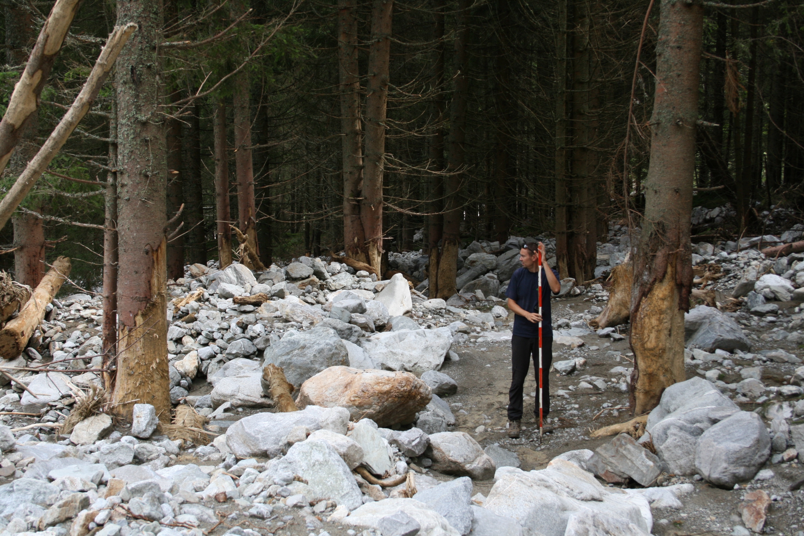 Debris-flow event, 2010; Sölktal (AUT)