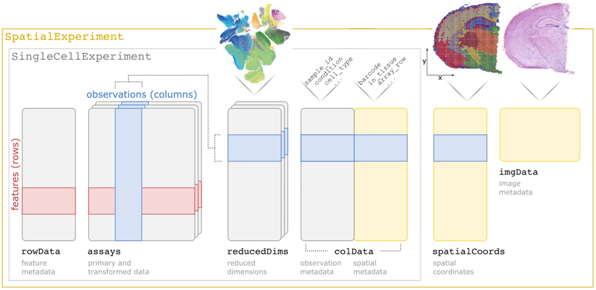 Overview of the `SpatialExperiment` object class structure.