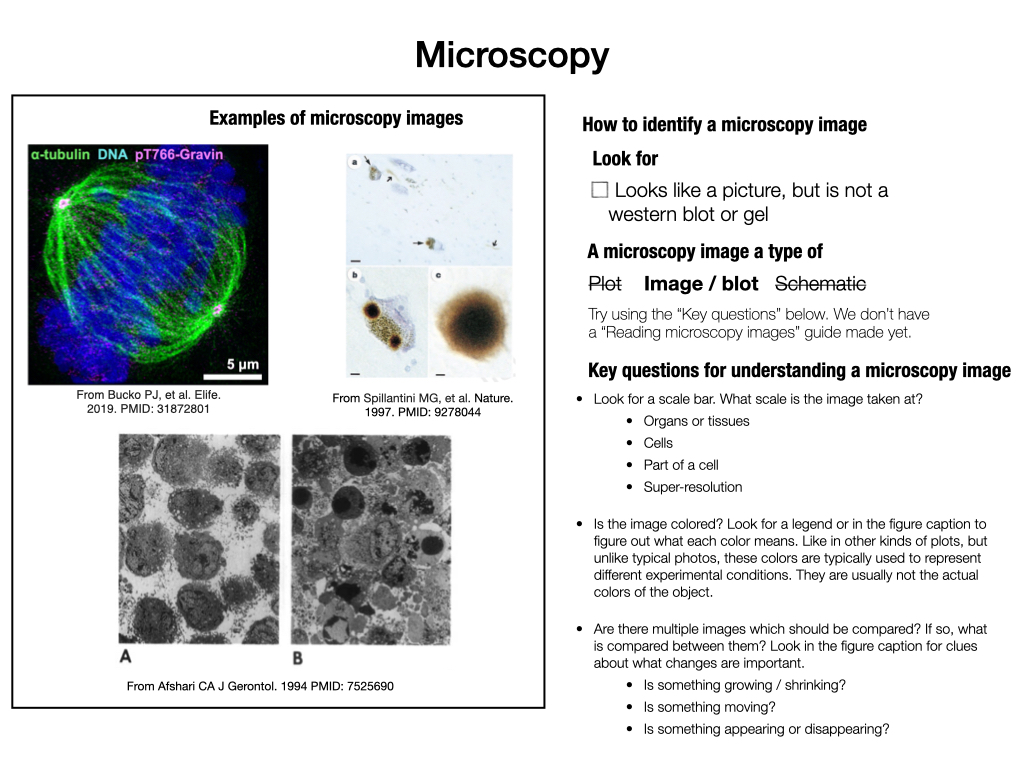 If your panel most resembles a microscopy image, try answering the "Key questions for understanding a microscopy image" above. We don't have a guide for reading microscopy images here.