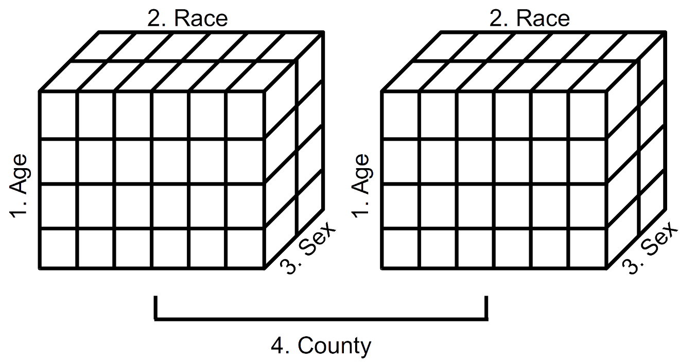 Schematic representation of a 4-dimensional array (Year 2000 population estimates by age, race, sex, and county)