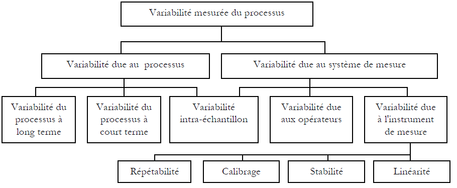 Figure 1 - Sources de variation dans le cadre d’un processus de mesure