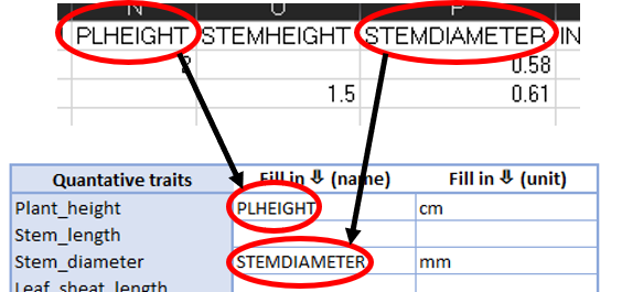Fig. 2. Matching verbatim column headers to standardized term