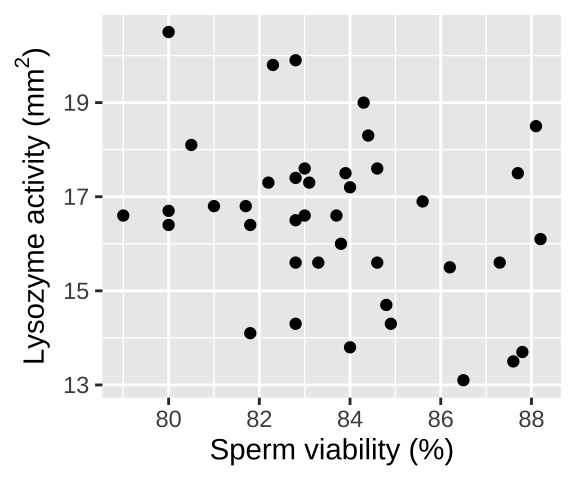 Association between reproduction (measured as sperm viability) and immunity (measured as the diameter of lysozyme). Data from @simmons2005 are available [here](https://whitlockschluter3e.zoology.ubc.ca/Data/chapter16/chap16q12CricketImmunitySpermViability.csv). One extreme outlier was removed to simplify the analysis for purposes of explanation (it would not be removed in a real study).