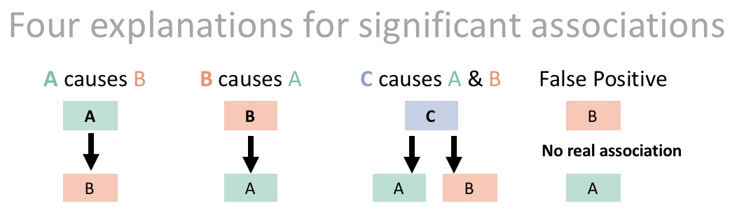 Possible causal relationships underlying significant associations. In this example, we would call C a *confounding variable**.