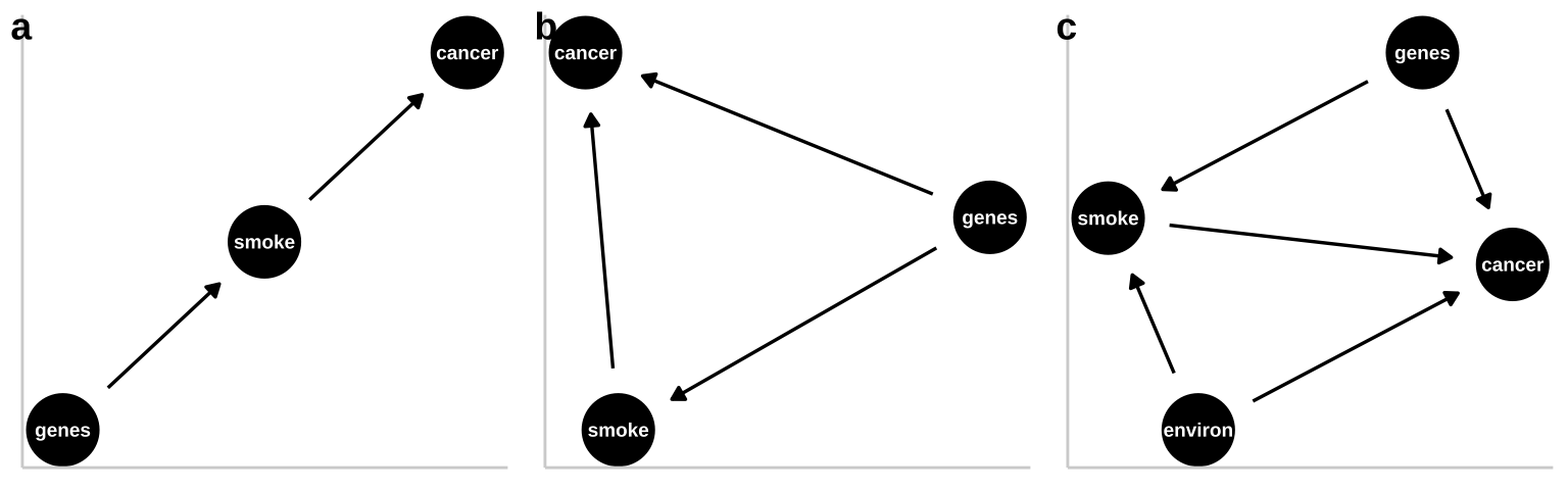 Three plausible DAGs concerning the relationship between smoking and cancer. **a** A *pipe* -- Genes cause smoking, and smoking causes cancer. **b** A *collider* -- genes cause cancer and smoking, and smoking causes cancer. **c** Complex reality -- Environmental factors cause smoking and cancer, and genetics cause smoking and cancer, while smoking too causes cancer.