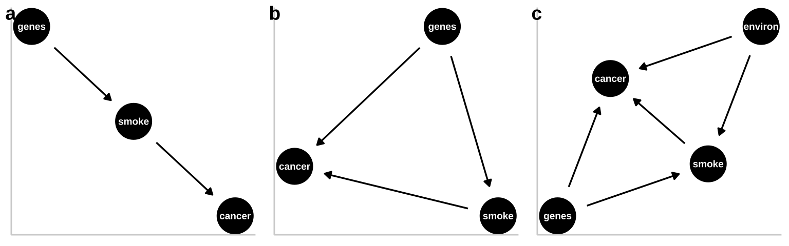 Three plausible DAGs concerning the relationship between smoking and cancer. **a** Genes cause smoking, and smoking causes cancer. **b** Genes cause cancer and genes cause smoking, and smoking causes cancer. **c** Environmental factors cause smoking and cancer, and genetics cause smoking and cancer, while smoking too causes cancer.