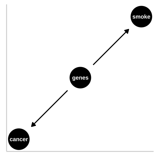 R.A. Fisher -- a pipe enthusiast, notorious asshole, eugenicist, and the father of modern statistics and population genetics was unhappy with this DAG. He argued that a **confound** could underlie the strong statistical association between smoking and lung cancer. A  **confounding variable** -- *is an unmodelled variables which distort the relationship between explanatory and response variables -- can bias our interpretation*. Specifically, Fisher proposed that the propensity to smoke and to develop lung cancer could be causally unrelated, if both were driven by similar genetic factors.  Fisher's causal model is presented in th DAG to the right -- here genes point to cancer and to smoking, but no arrow connects smoking to lung cancer.