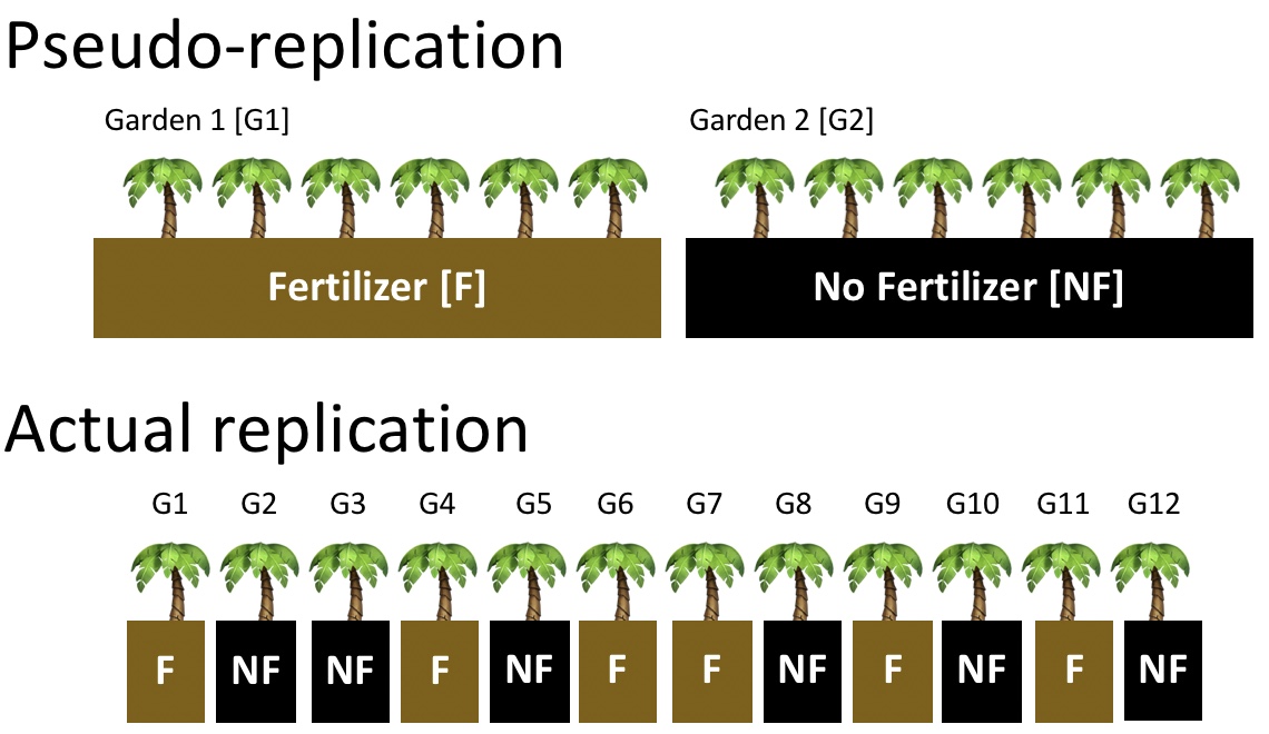 **Diagram comparing pseudo-replication and actual replication in experimental design:**  *Top section (Pseudo-replication)*: Two groups are depicted, Garden 1 (G1) and Garden 2 (G2). Garden 1 receives fertilizer (F), and Garden 2 receives no fertilizer (NF). Each garden has multiple palm trees, but all trees within Garden 1 receive fertilizer, while all trees in Garden 2 do not. This setup illustrates pseudo-replication, where the experimental treatment (fertilizer) is confounded with differences between the two gardens (the environment), making it impossible to separate the effect of the fertilizer from the garden-specific factors. *Bottom section (Actual replication):* Twelve gardens (G1–G12) are shown, each with a single palm tree. Fertilizer (F) and no fertilizer (NF) are randomly assigned to each garden. This illustrates true replication, where the effect of the fertilizer can be independently assessed across different environments because the treatments are randomly distributed, minimizing confounding factors.