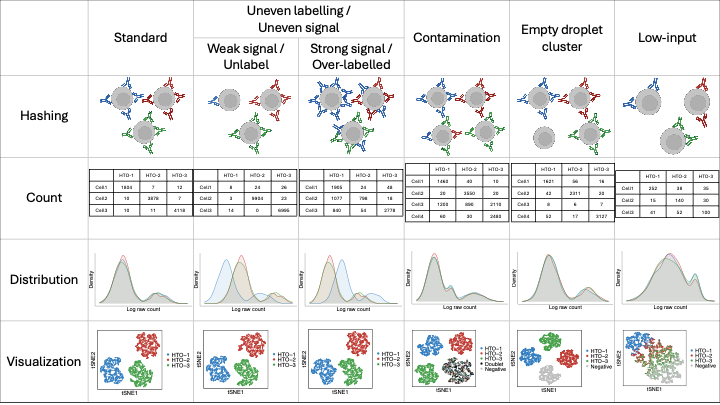 A summary of hashing data type.