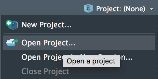 Alternative option of opening an R project.