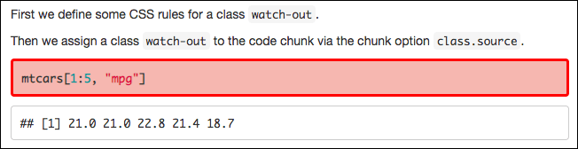 r markdown chunk options