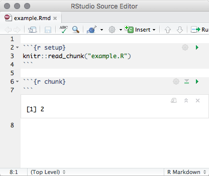 Execute a code chunk read from an external R script.