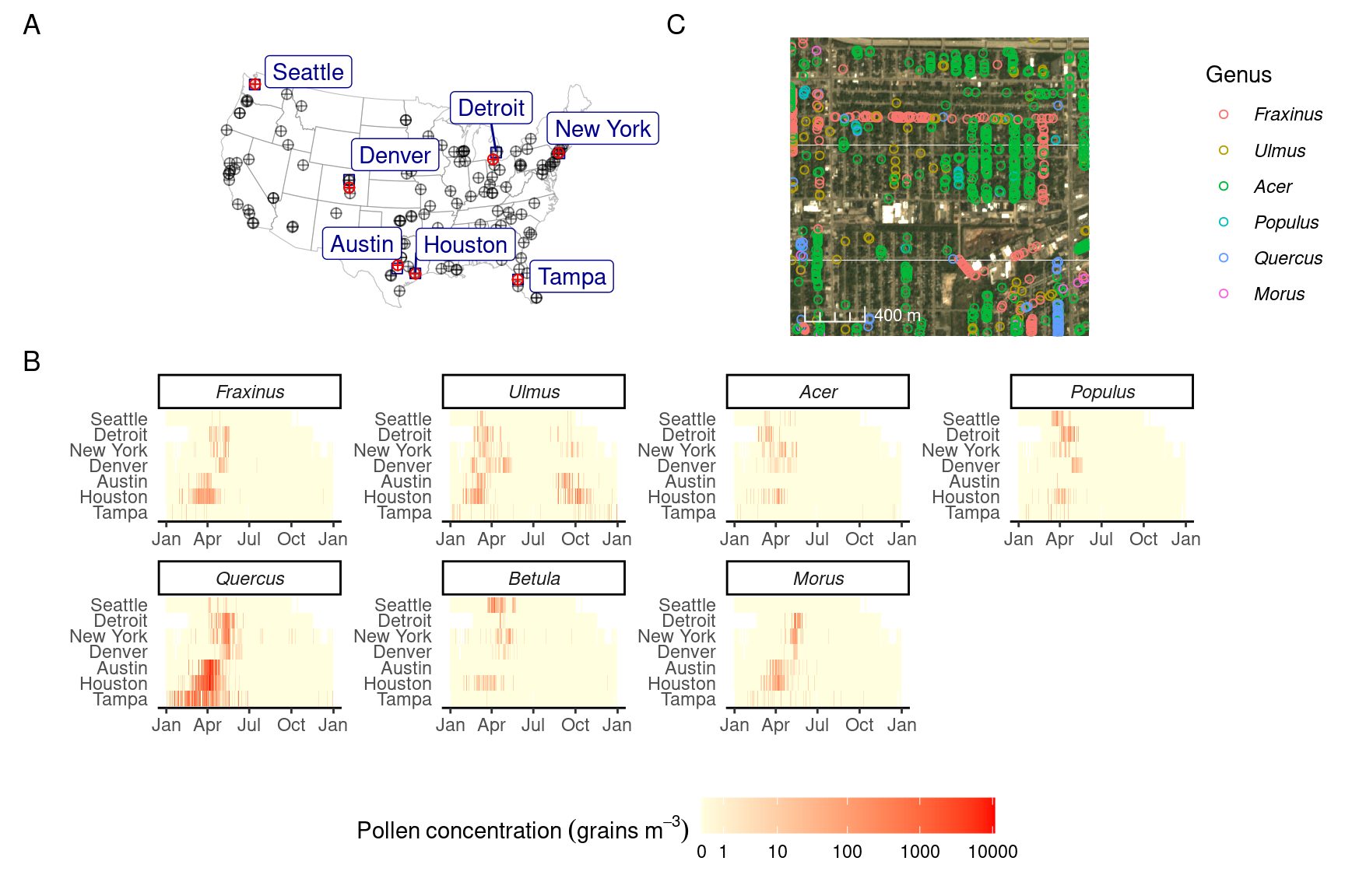 Pollen count and plant occurrence data. (A) Map of pollen counting stations associated with the National Allergy Bureau (NAB) and plant records near selected pollen counting stations. All pollen counting stations are marked in crossed circles, with ten selected stations in this study highlighted in red. Plant occurrence data from street tree inventory, land cover classification, and crowdsourcing are marked in blue points. (B) Pollen phenology of eleven key pollen-producing taxa in ten selected stations. (C) Spatial distribution of pollen-producing plants at ten study sites. Basemap show streets in cities. For simplicity, random 200 plants are visualized for each site.