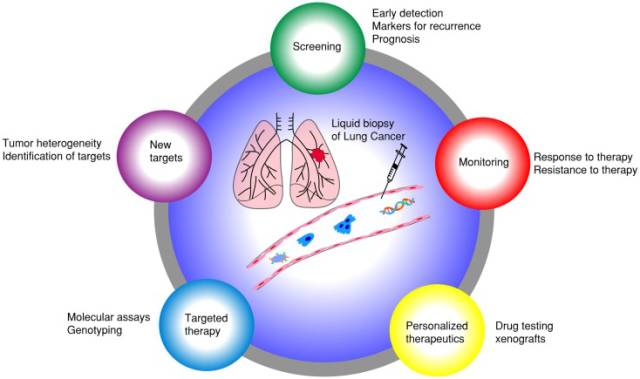 以肺癌为例，液体活检能实现的目标有至少5个：复发监测，治疗效果监测，个性化治疗，靶向治疗用药指导，发现新的治疗靶点。