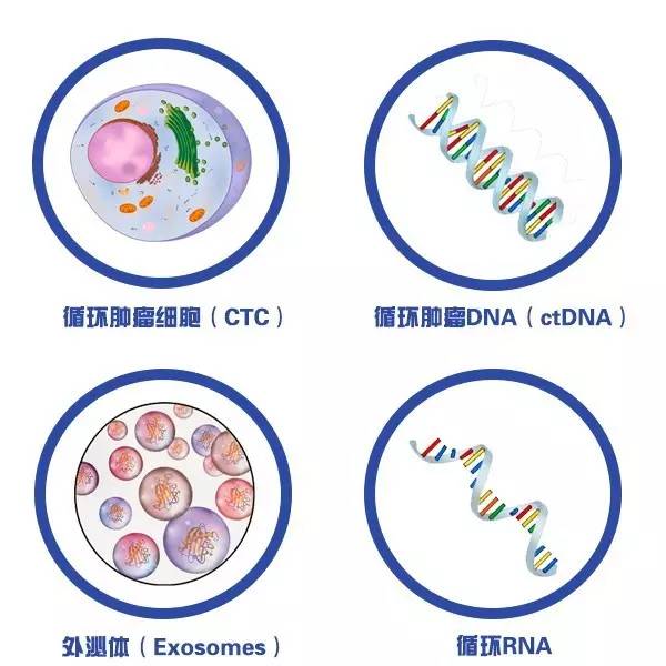 液体活检的对象，包括CTC，ctDNA，外泌体和循环RNA。